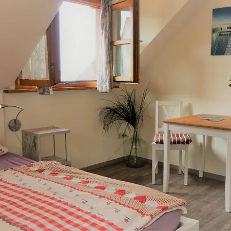 בית הארחה Ins Fischernetz מיירסבורג