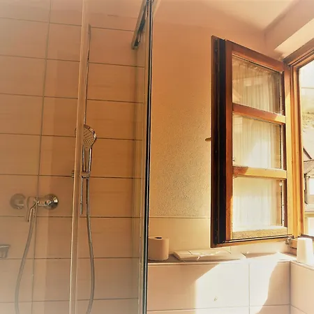 Ins Fischernetz מיירסבורג