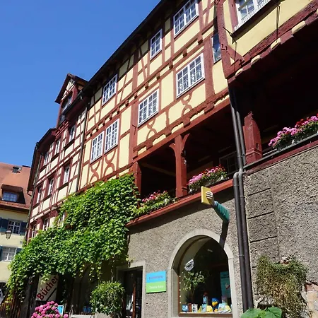 Ins Fischernetz Meersburg