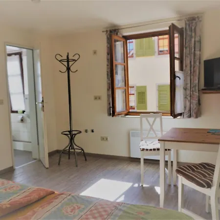 Ins Fischernetz בית הארחה מיירסבורג