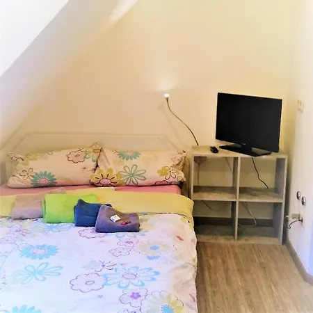 Ins Fischernetz 3* מיירסבורג